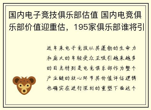 国内电子竞技俱乐部估值 国内电竞俱乐部价值迎重估，195家俱乐部谁将引领资本新浪潮？